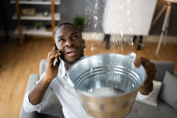 Best Flood restoration services  in Han, GA
