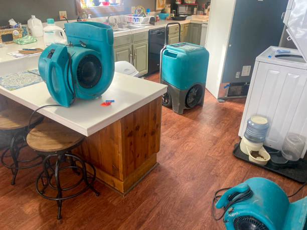 Best Basement water damage restoration  in Han, GA