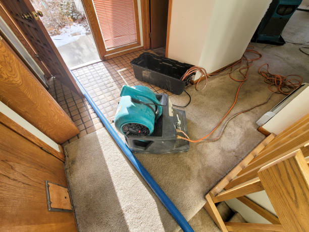 Best Mold removal after water damage  in Han, GA