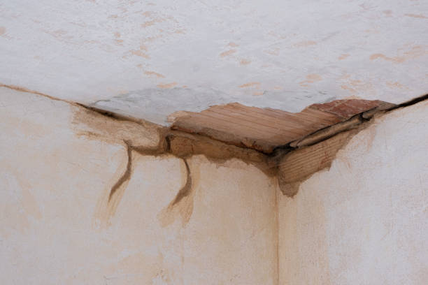 Best Commercial water damage restoration  in Han, GA