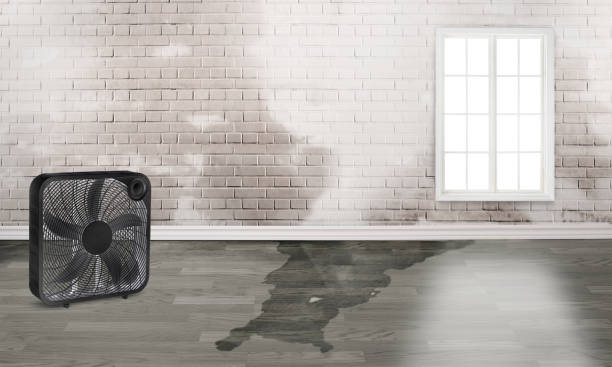 Best 24/7 water damage repair  in Han, GA