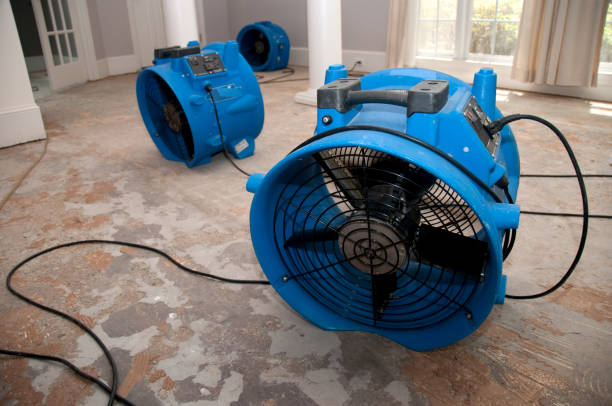 Best Sewage cleanup and water damage restoration  in Han, GA