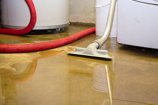 Best Ceiling water damage repair  in Han, GA