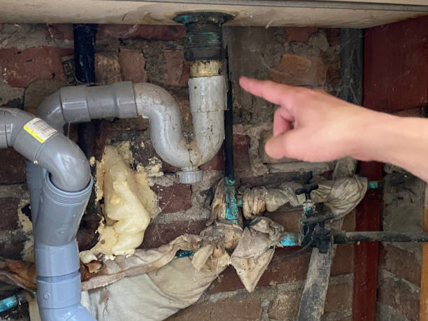 Best Local water damage restoration  in Han, GA