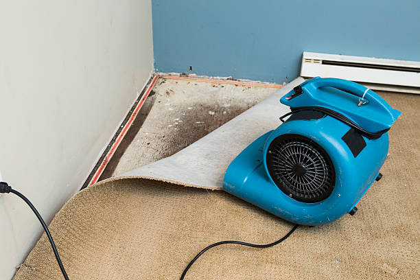 Best Emergency water damage restoration  in Han, GA